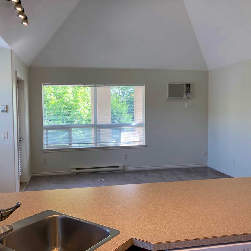 Avail. July 1st: Top Floor, Corner 2 bed, 2 bath unit - Photo 1