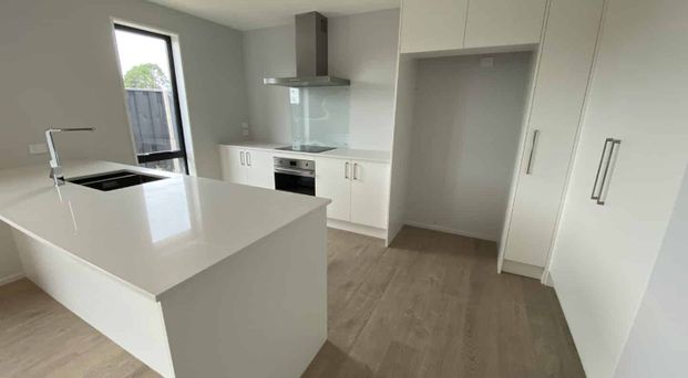 Beautiful Brand New Home - Photo 1