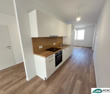 Ihr Wohn(t)raum im Tullnerfeld - 3-Zimmerwohnung mit südseitigem Ba... - Foto 5