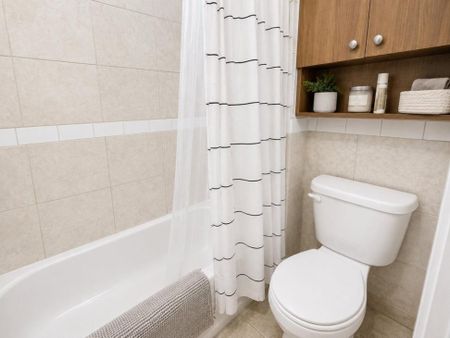 Appartement à louer - Montréal (Le Plateau-Mont-Royal) (Mile-End) - Photo 5