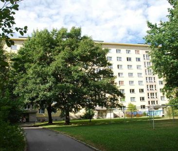 Erdgeschosswohnung mit Blick ins Grüne - Foto 6