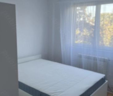 Drumul Taberei, Romancierilor, Bd. Timisoara, Valea Boteni, renovat - Photo 1