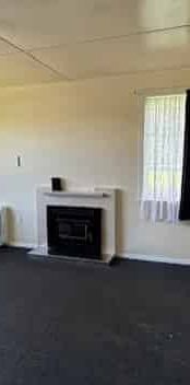 Lovely 3 Bedroom home with a good-sized section! - Photo 1