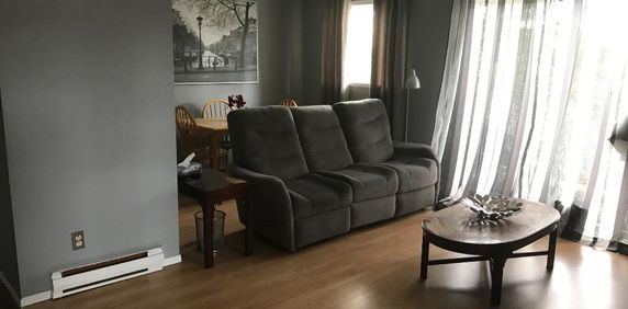 4 1/2 Mont-Laurier, extrêmement propre, corridor sécurisé - Photo 2