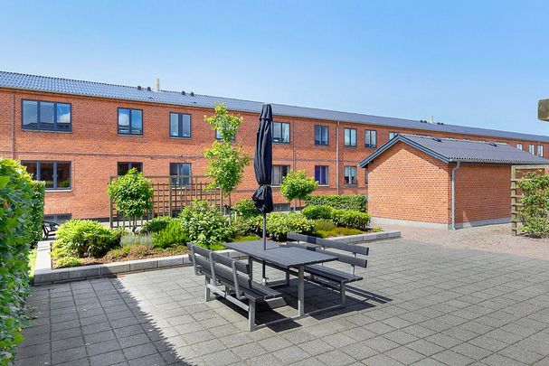 Afd. 3 Rosenvang - Photo 1