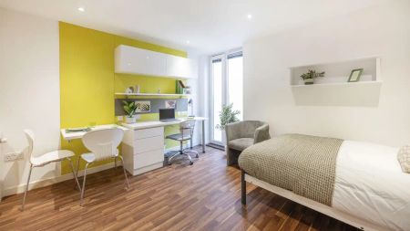 Premium Lower Floor - Photo 4