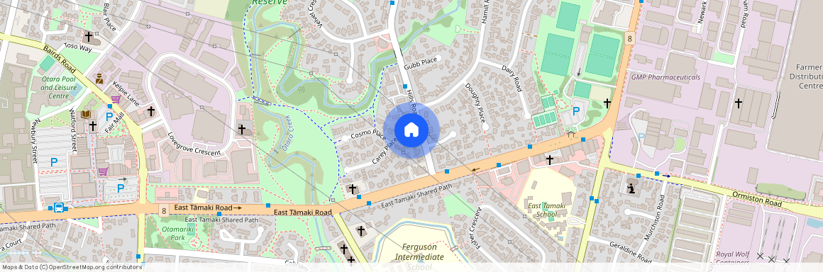 2 Carey Place, Manukau City, Otara