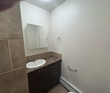 Willow Green Estates — Studio - Photo 4