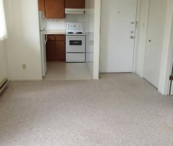 Bachelor Apartment for Rent Near Downtown Victoria - Photo 1