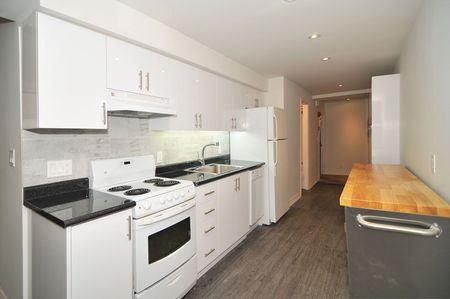 For Lease - 8 Avion Avenue Unit# Unit 4 (Basement Unit), Toronto, Ontario - Photo 5