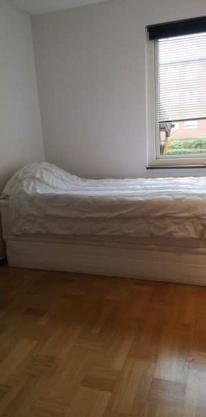 Professorsgatan, Malmö - Photo 1