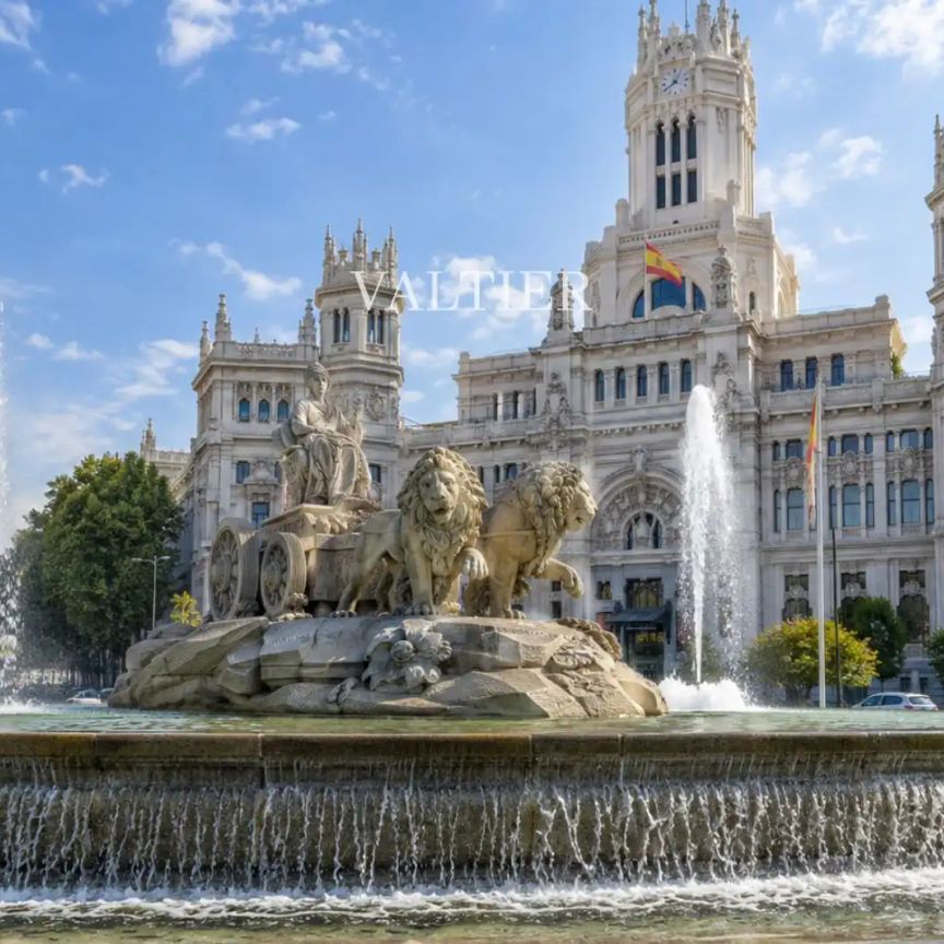 Madrid - Photo 1