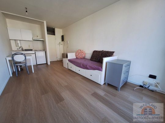 Lichtrijke studio - Photo 1