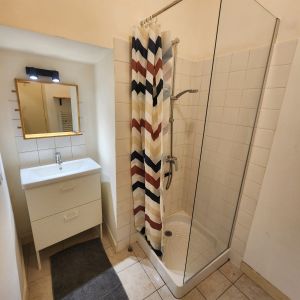 Location Appartement 1 pièce 19m² LE LUDE 72800 - Photo 2