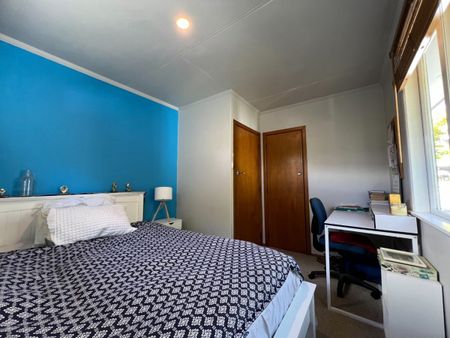 149 Limbrick Street, Terrace End, Palmerston North - Photo 2