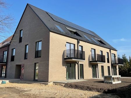 Ratzeburg Neubau: Vermietung bankeigener 4 Zimmer EG Wohnung - Besichtigung: 15.03. 16-18 Uhr - Foto 5