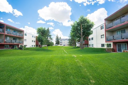 Raleigh Square Apartments - Photo 4