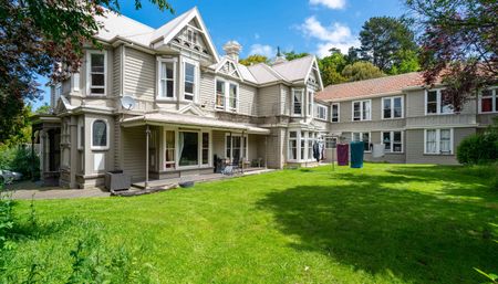 Spacious Rooms Available in Central Dunedin - From $215/week (Utilities Included!) - Photo 2