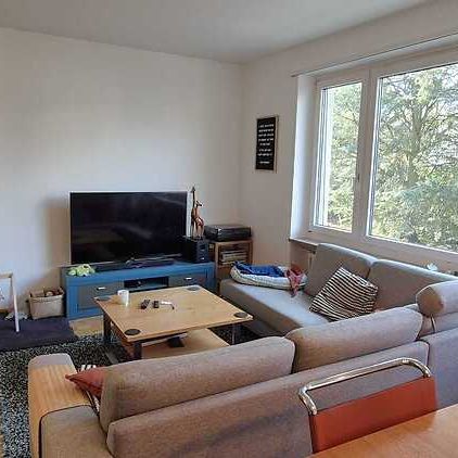 4 Zimmer-Wohnung in Basel - Bruderholz, möbliert, auf Zeit - Foto 1