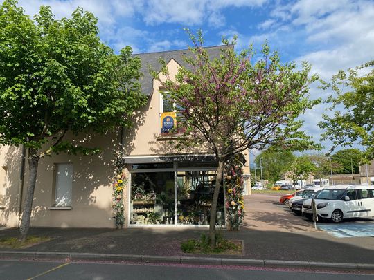 HERMANVILLE SUR MER - Photo 1