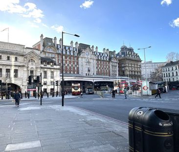 Room in a Shared House, Guildhouse Street, SW1V - Photo 4