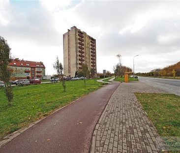 2 przechodnie pokoje po remoncie na BoWiD - Фото 6