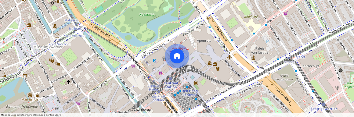 Anna van Buerenplein 66, 2595DB, 'S-Gravenhage
