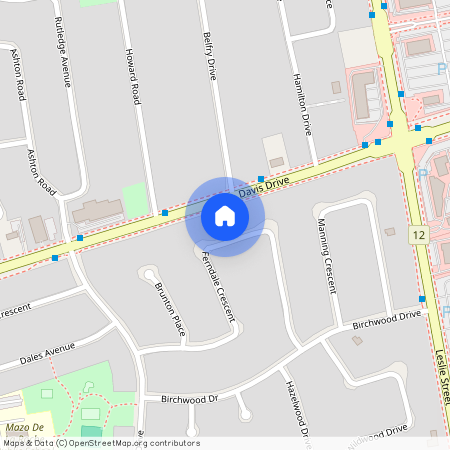 964 Ferndale Crescent Unit# Basement, Newmarket