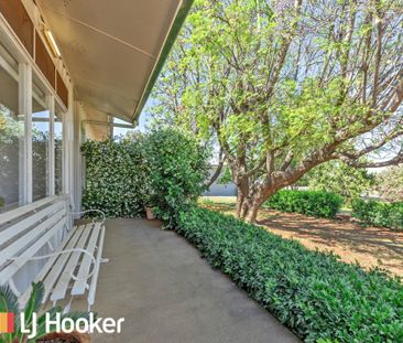 Charming 3-Bedroom Home in Calala - Photo 6