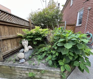 For Lease - 168 Tyrrel Avenue Unit# Lower, Toronto, Ontario - Photo 3