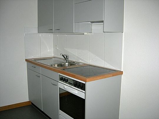 Traumhafte Aussicht über Zürich mit Bergpanorama - Photo 1