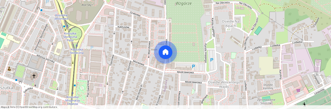 ul. Brzozowa, Koszutka, Katowice, śląskie