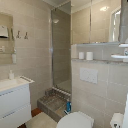 Location Appartement 1 pièce 21m² - Photo 4