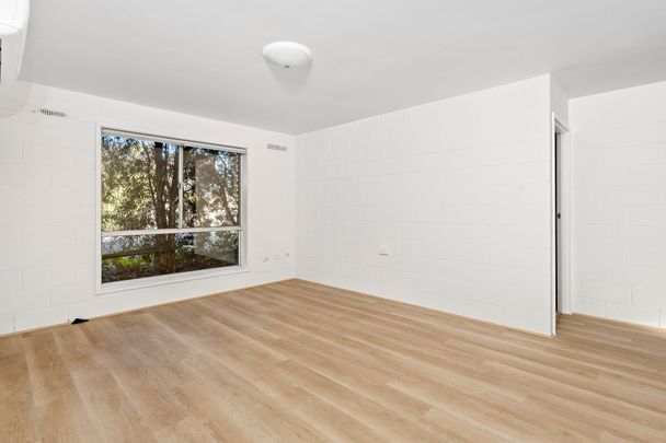Freshly Updated Living in a Prime Frankston Location - Photo 1