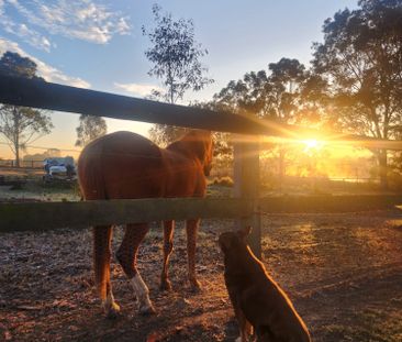 Bringelly - Photo 4
