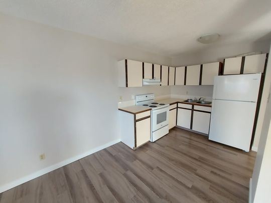 Pet Friendly 2 Bedroom, 1 Bathroom Apartment - Photo 1