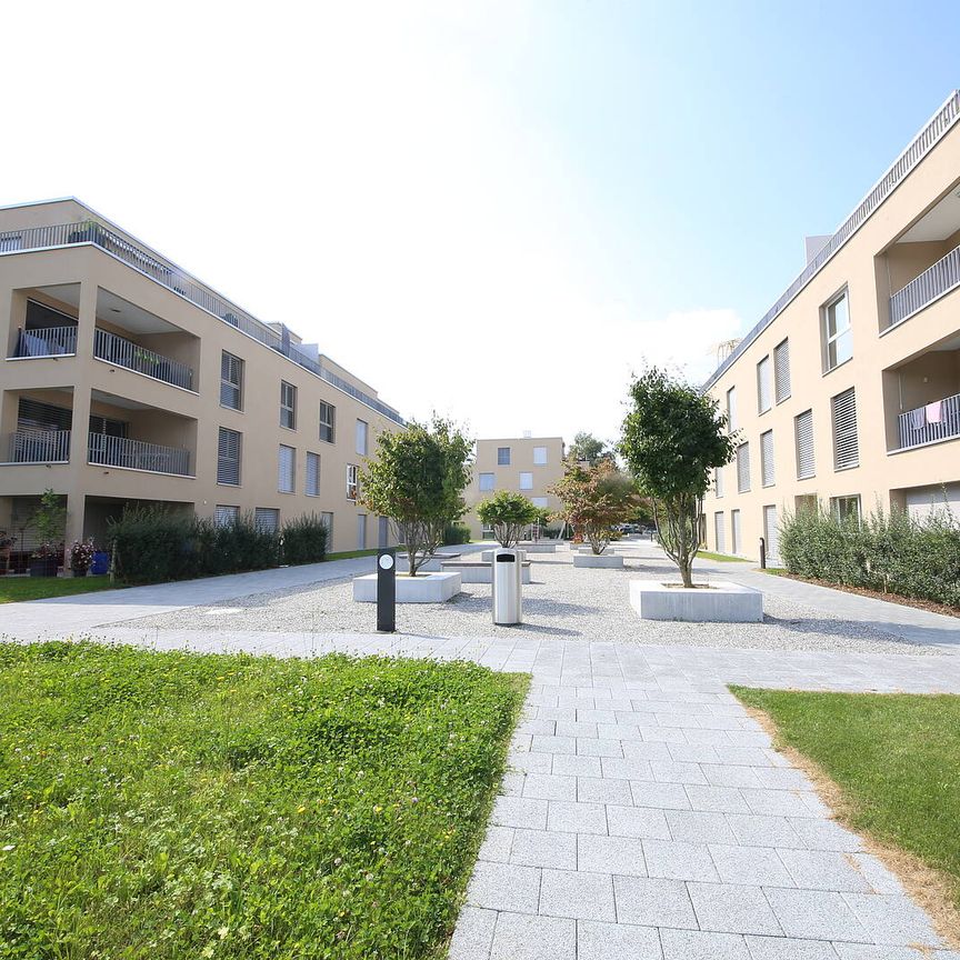 Moderne Wohnung mit viel Platz - Foto 1