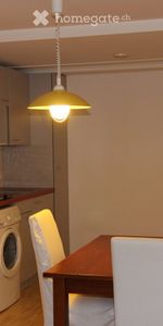 Joli Studio 67 m2 a Troinex, avec parking prive et petit jardin prive (CEVA a 5 min) - Photo 3