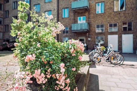 Norra Rostorpsgatan 1 A - Foto 5