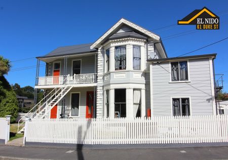 61 Duke Street, Dunedin North, Dunedin City - Photo 3