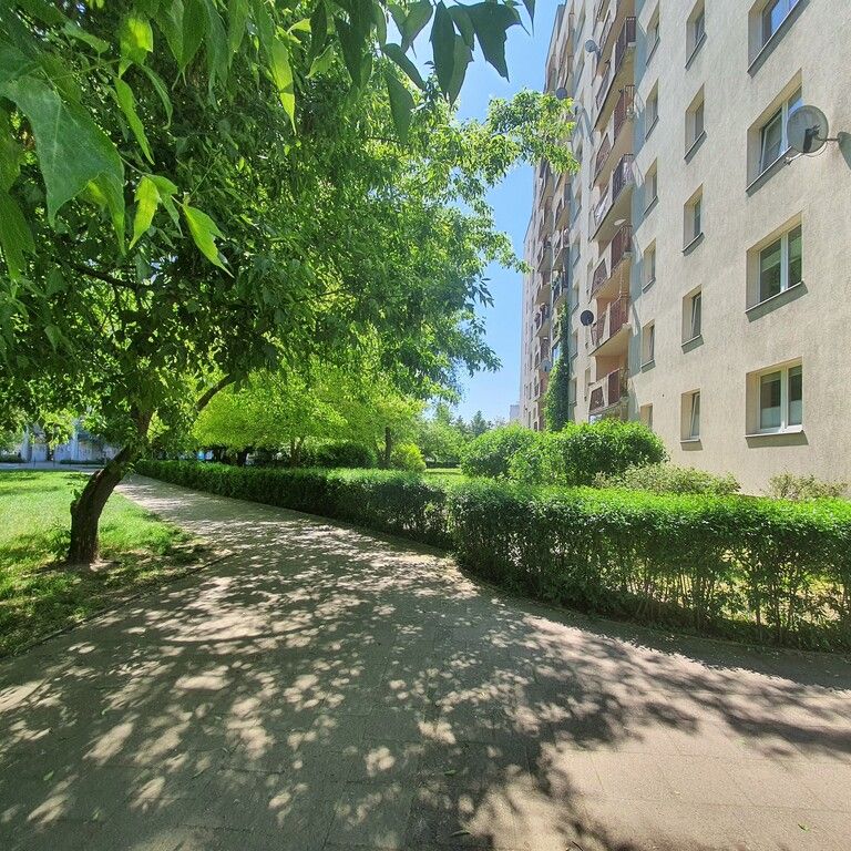 mieszkanie na wynajem Szczecin Książąt Pomorskich - Photo 1