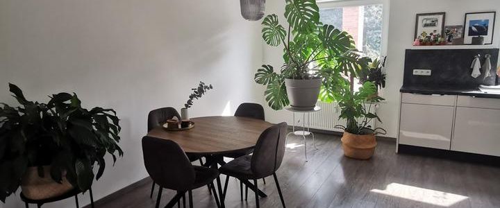 4 Zimmer Wohnung in Harrislee - Photo 1