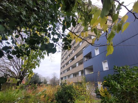 Location Appartement 2 pièces 40m² NANTES 44200 - Photo 5