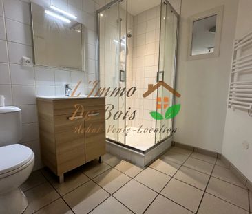 Location Appartement 1 pièce 29m² VIENNE 38200 - Photo 4