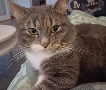 Lagfartsvägen, Norsborg - Foto 4