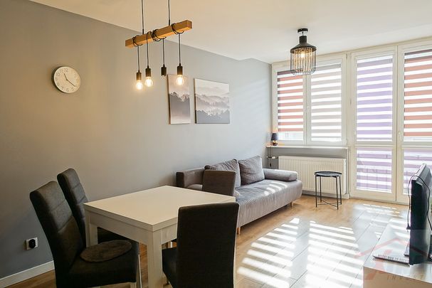 Stare Miasto 2 pokoje umeblowane i wyposażone (439153) - Photo 1