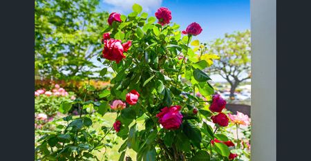STUNNING FAMILY HOME - DETACHED HOME STUDIO - PHONE AGENT TO INSPECT OR ATTEND TUE 25/11 1-1.30PM - Photo 2