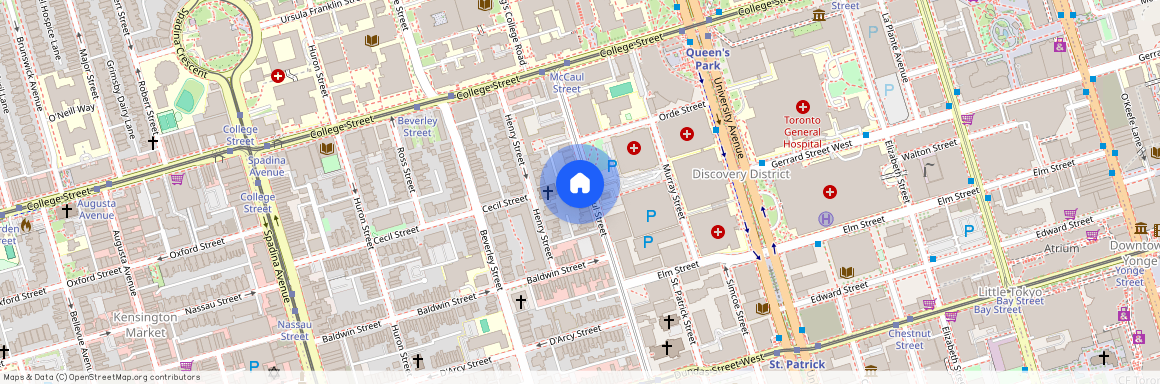 210 McCaul Street Unit# Unit A, Toronto