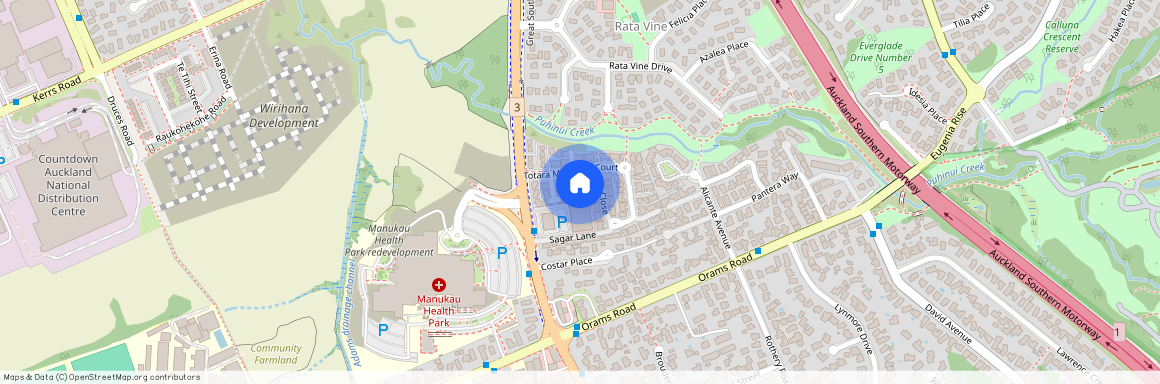 6 Duin lane, Wiri, Manukau City