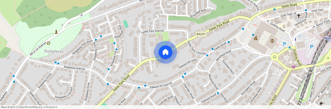 Fields Park Road, Newport